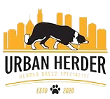 LOGO-VARIATIONS-01-e1775690493906-removebg-preview